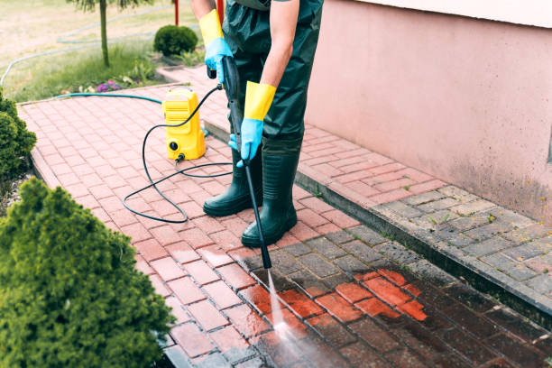 Best Building Exterior Washing  in River Road, NC